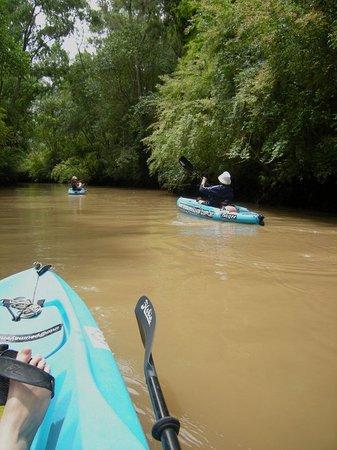 Kayak a Pedal en el Delta